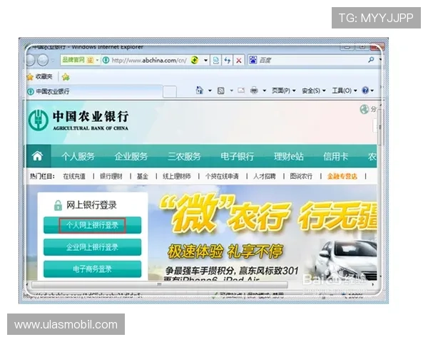 速盈在线登录在网络交易中的优势和使用技巧