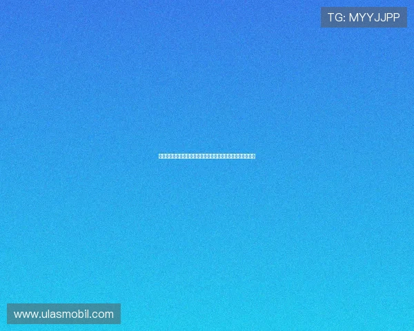 世界杯佛得角主教练与沙特主教练执教理念及战术策略深度解析 世界杯佛得角主教练与沙特主教练执教理念及战术策略深度解析